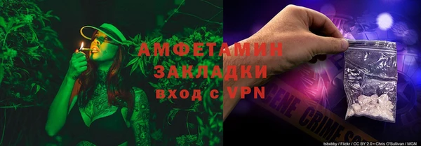 PSILOCYBIN Михайлов