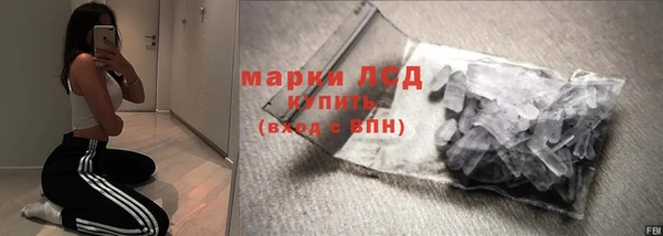 PSILOCYBIN Михайлов