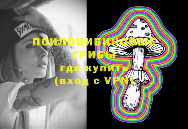 PSILOCYBIN Михайлов
