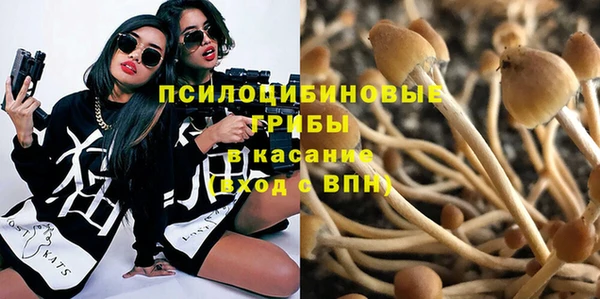 винт Михайловка
