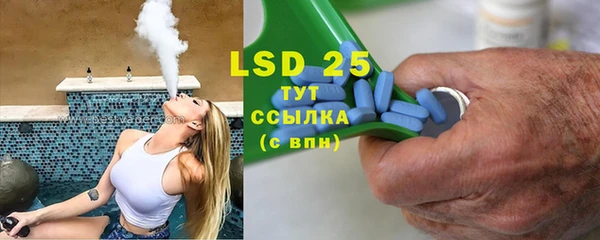 PSILOCYBIN Михайлов